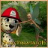 seachnasaigh
